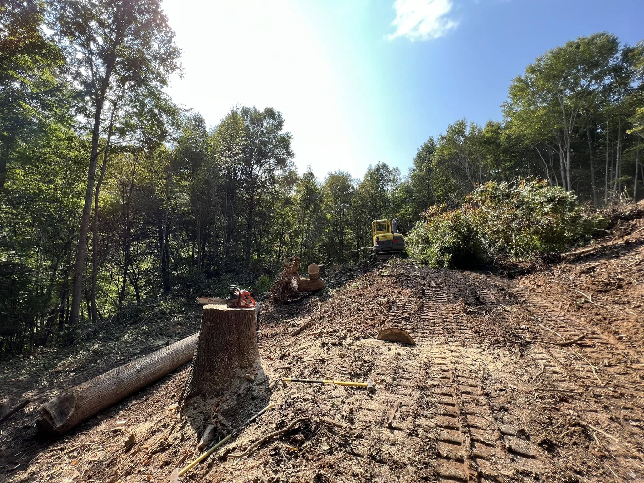 Land clearing and grubbing on a wooded WNC lot